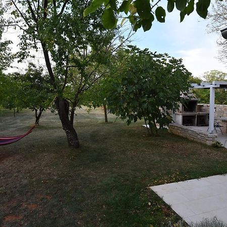 Holiday Home Brhanici Svetvinčenat المظهر الخارجي الصورة